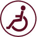 persons-with-disabilities